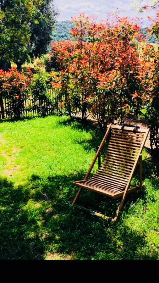 A Fata Di L'Ortolo Gites A La Ferme Sartène Zewnętrze zdjęcie